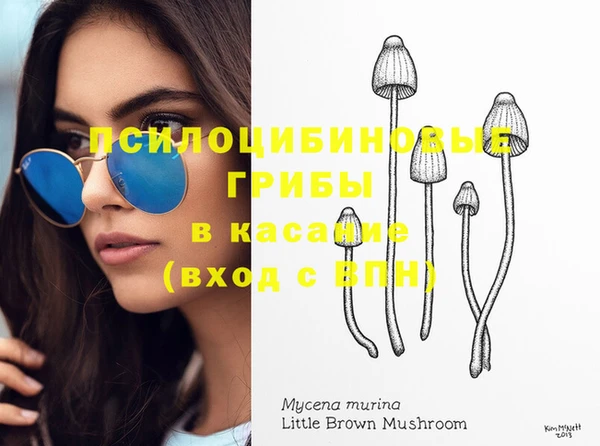 экстази Богданович