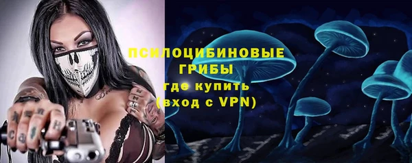 не бодяженный Богородицк