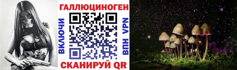 Галлюциногенные грибы MAGIC MUSHROOMS  Эртиль 